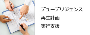 デューデリジェンス
再生計画
実行支援